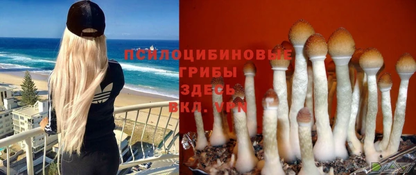 а пвп мука Балахна