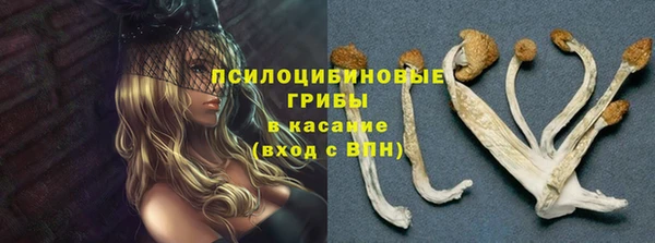 а пвп мука Балахна